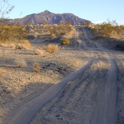 Day 1: Baker to east side of Devil's Playground, northwest of Old Dad Mountain, by bicycle, Mojave National Preserve