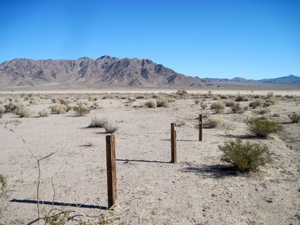 Several old fence posts here delineate the JHJ claim near Broadwell Dry Lake