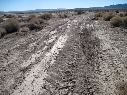 I hike across Crucero Road near Broadwell Dry Lake, surprised that it's rougher than I thought
