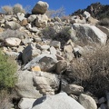 At the bottom of this pile of rocks is what I call the flat-foot rock toes