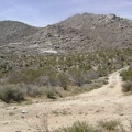1/3 mile up the main road, I turn down the short road that dead-ends at Coyote Springs