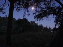 Moonlight (almost a full moon) at Mississippi Lake.