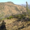 I snap several shots of Walsh Peak as I hike up Pacheco Ridge Road