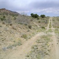 This appears to be an old alignment of the Mojave Road, running parallel to Cedar Canyon Road