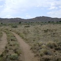 The road to Howe Spring, Mojave National Preserve, gets narrower