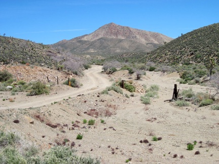I take a break from speeding down Nevada 164 toward Nipton to look at a dirt road that leads into the hills