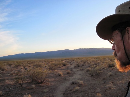 The sun is dropping and the first glimmers of sunset in Ivanpah Valley are hitting my beard
