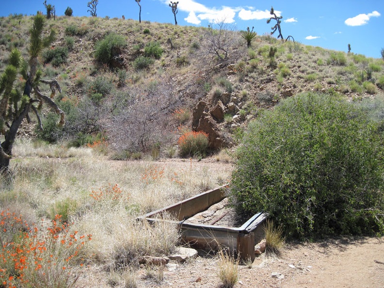 Juniper Spring, Mojave National Preserve; it's dry