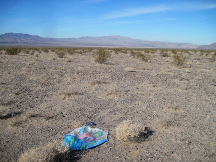 Oh, another lost balloon in a wilderness area...