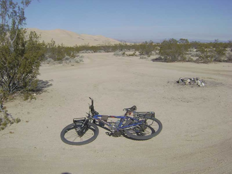 07085-kelso-dunes-campsite-800px.jpg