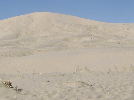 There are a number of people hiking Kelso Dunes today