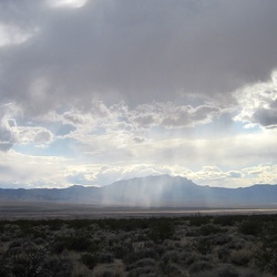 Day 15: Pinto Valley, Mojave National Preserve, to Primm via New York Mountains, Ivanpah Road and Nipton by bicycle