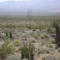 Now the dust trails from the dirt bikes are soaring across the Ivanpah Valley below