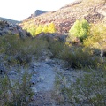 I don't find any of the old road, but I do find parts of a trail here in Piute Canyon