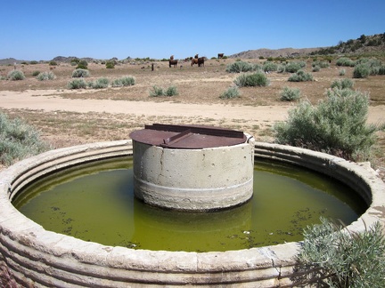 I park the 10-ton bike and walk over to the Government Holes corral, next to which a cistern full of green water glows