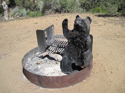 Two campsites away in the near-empty Mid Hills campground is a cute and cuddly wooden bear at the fire pit, a tad burnt