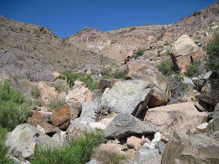 Many large rocks are strewn about in the east fork of Beecher Canyon