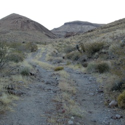 Day 5: Round-trip bicycle ride from Piute Gorge to Hackberry Spring via Rattlesnake Mine