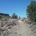 I pass a nice juniper tree as I approach the crest of this segment of the Barber Peak Loop Trail