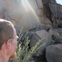 Day 13: Bicycle ride to Keckiella Rocks, Mojave National Preserve