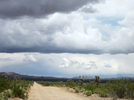 I'm often looking back behind me toward Nevada 164 and the Highland Range to take in the cloud formations