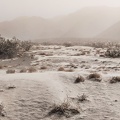 Sandstorm, Eureka Valley
