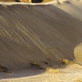 Dune slide