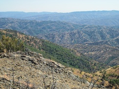 Mount Stakes Trail, Henry Coe Park, July 2010