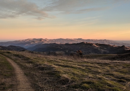 Sunset on Steer Ridge near Willson Peak, January 2019