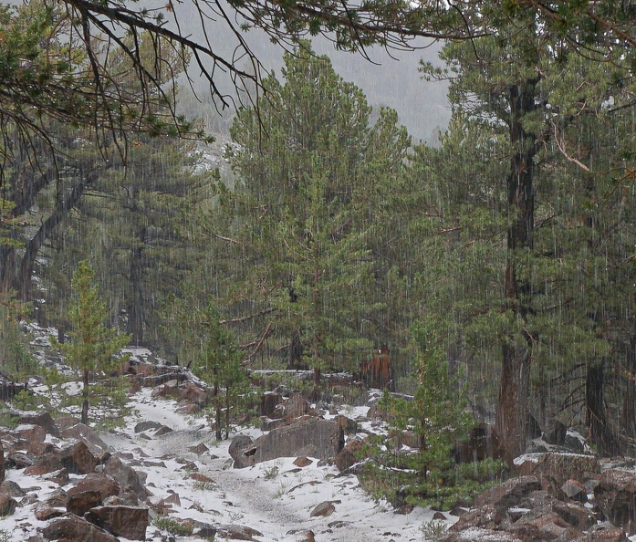 Snowfall, Mount Jefferson, Nevada, August 2022